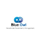 Blue Owl logo